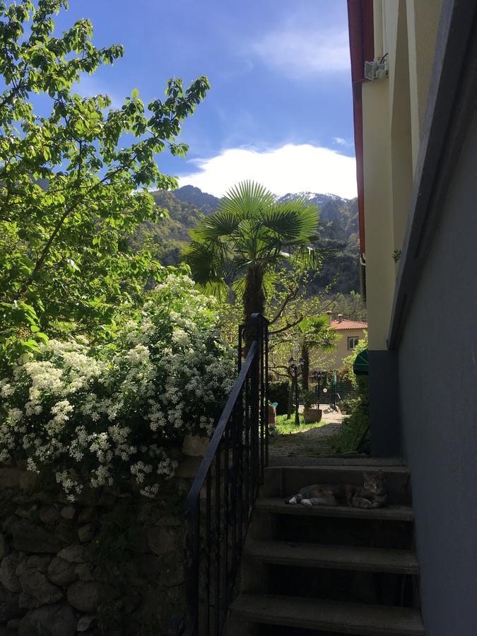 La Mirabelle-Casteil Country House Guest House Екстериор снимка
