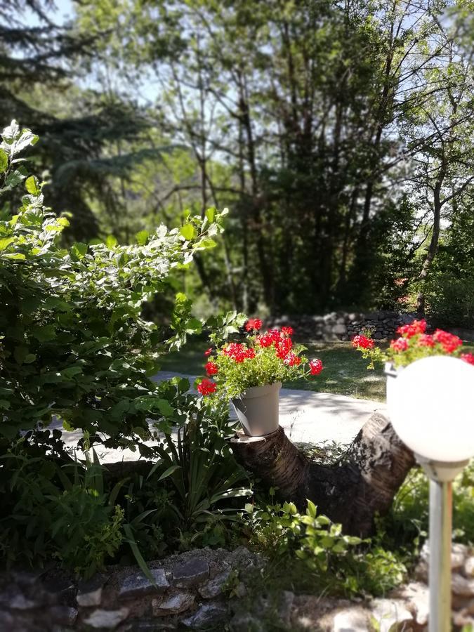 La Mirabelle-Casteil Country House Guest House Екстериор снимка
