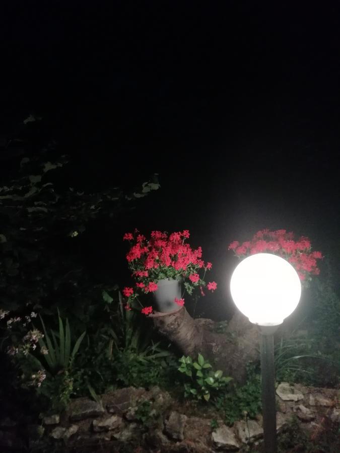 La Mirabelle-Casteil Country House Guest House Екстериор снимка