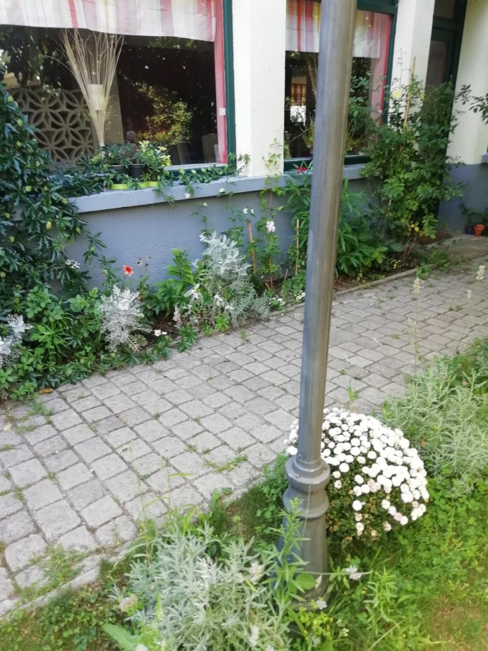 La Mirabelle-Casteil Country House Guest House Екстериор снимка